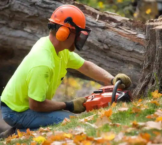 tree services Mehlville